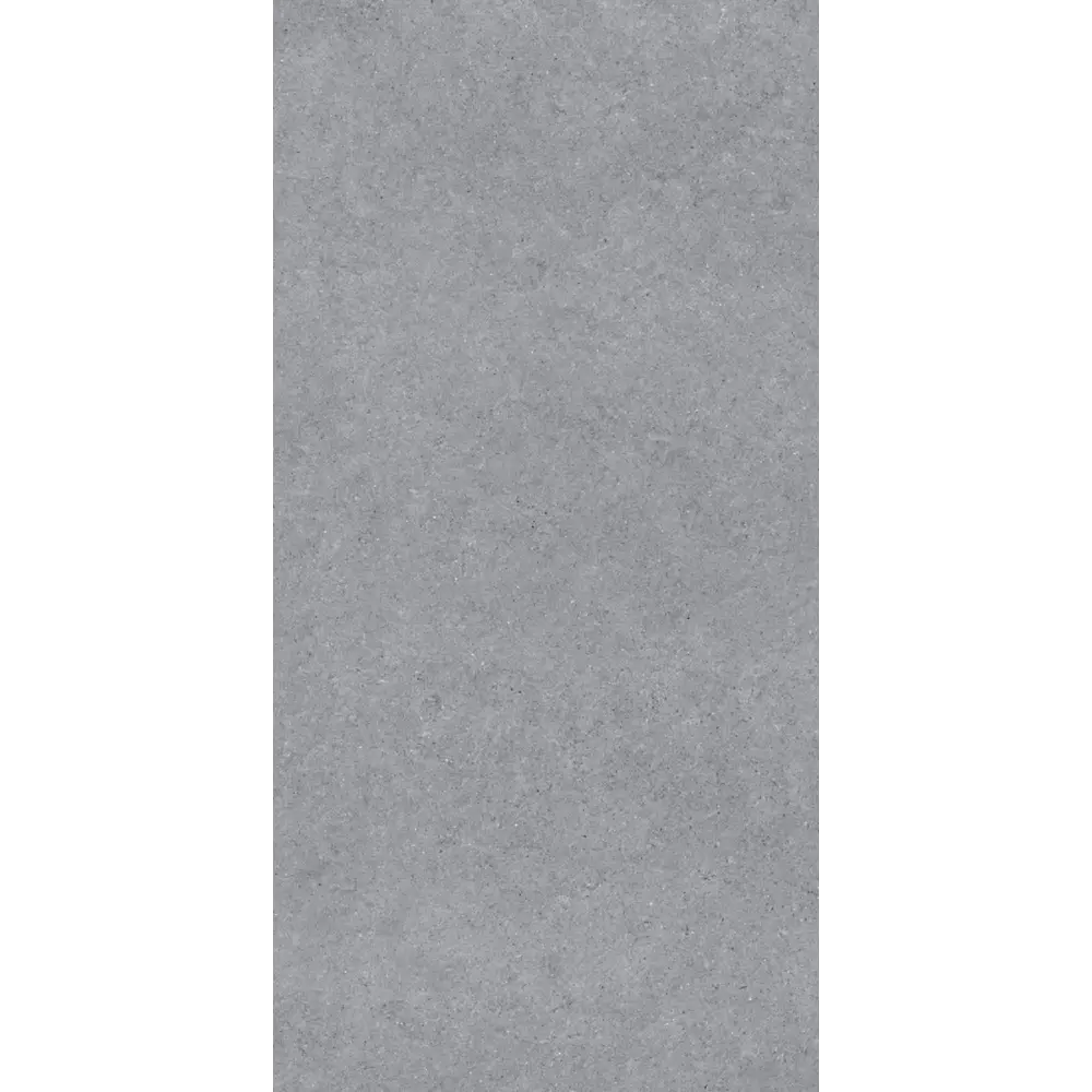 Керамогранит "Sonex" Forever Gris Matt 60x120x0.82 матовый цвет серый камень — купить в Нефтекамске